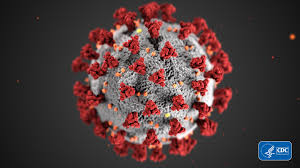 Covid-19 - Visuel virus